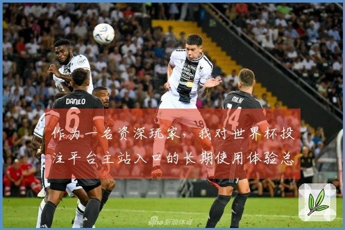 作为一名资深玩家，我对世界杯投注平台主站入口的长期使用体验总结分享