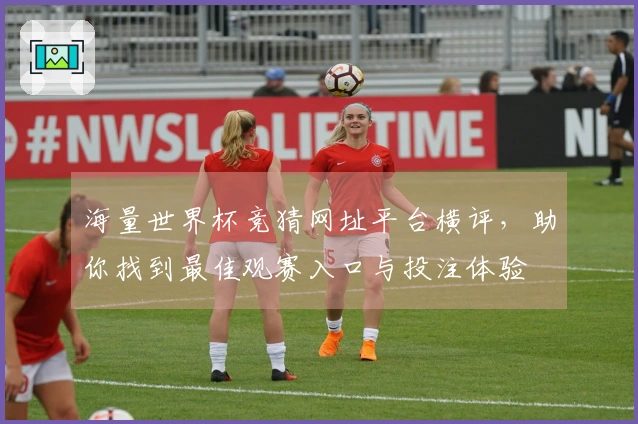 海量世界杯竞猜网址平台横评，助你找到最佳观赛入口与投注体验