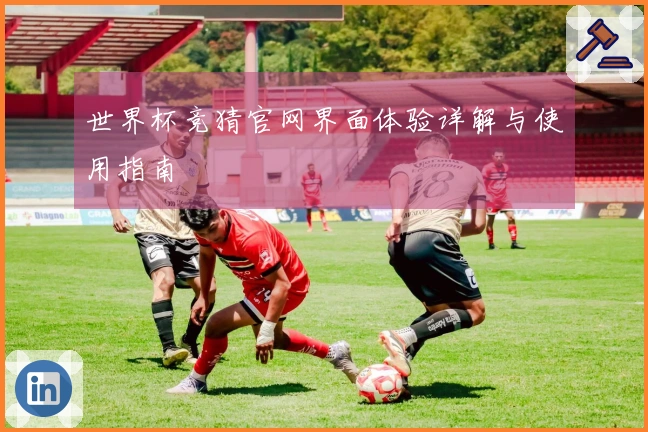 世界杯竞猜官网界面体验详解与使用指南