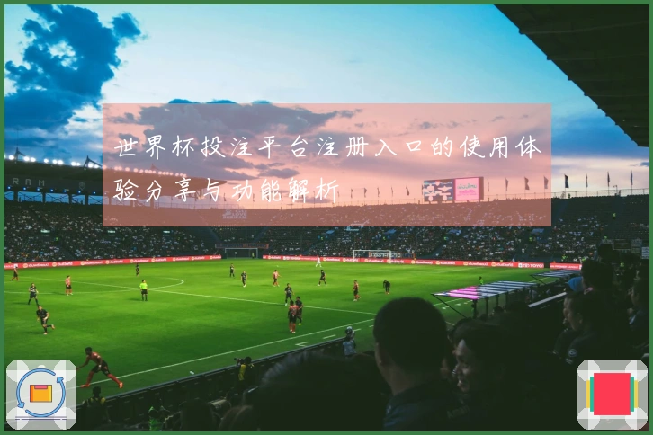 世界杯投注平台注册入口的使用体验分享与功能解析