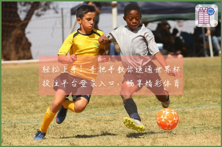 轻松上手！手把手教你速通世界杯投注平台登录入口，畅享精彩体育赛事