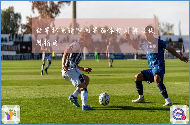 世界杯竞猜官网界面体验详解与使用指南