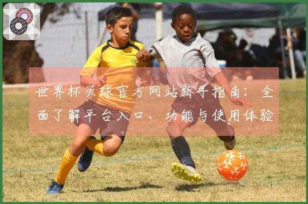 世界杯买球官方网站新手指南：全面了解平台入口、功能与使用体验