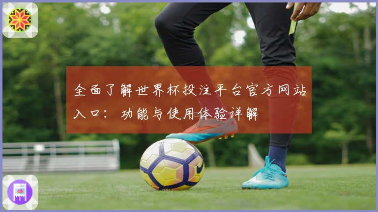 全面了解世界杯投注平台官方网站入口：功能与使用体验详解